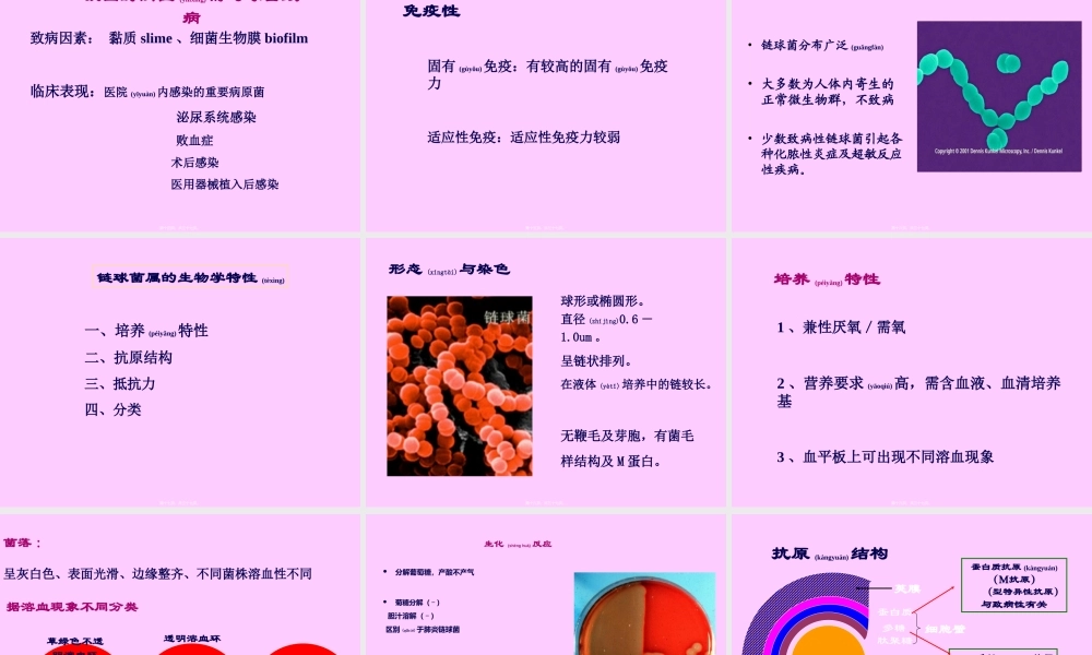 2022年医学专题—常见致病菌-1(1).ppt