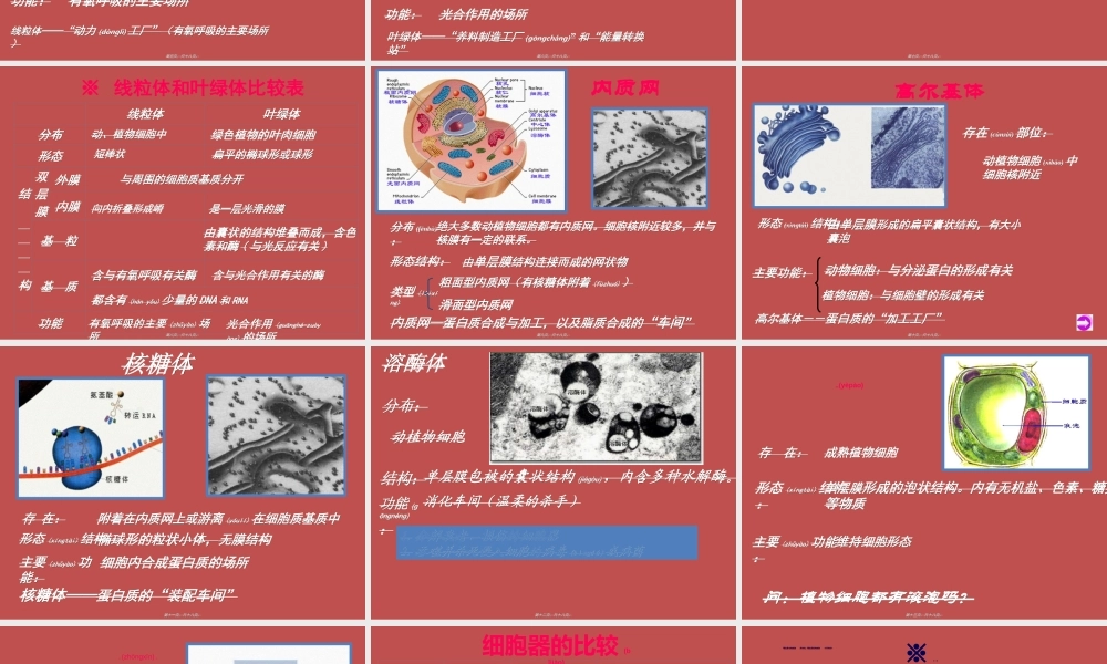 2022年医学专题—必修1-分子与细胞-第2节-细胞器──系统内的分工合作-(1)(1).ppt