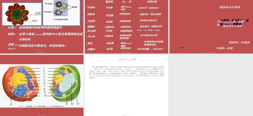 2022年医学专题—必修1-分子与细胞-第2节-细胞器──系统内的分工合作-(1)(1).ppt