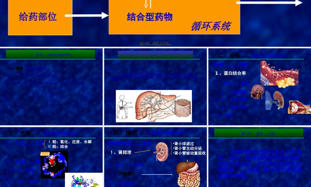 2022年医学专题—总论-药代动力学研究(1).ppt