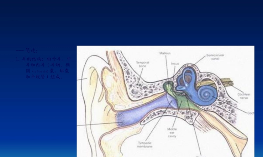 2022年医学专题—感觉生理-听觉、平衡觉、嗅觉、味觉、皮肤感觉(1).ppt