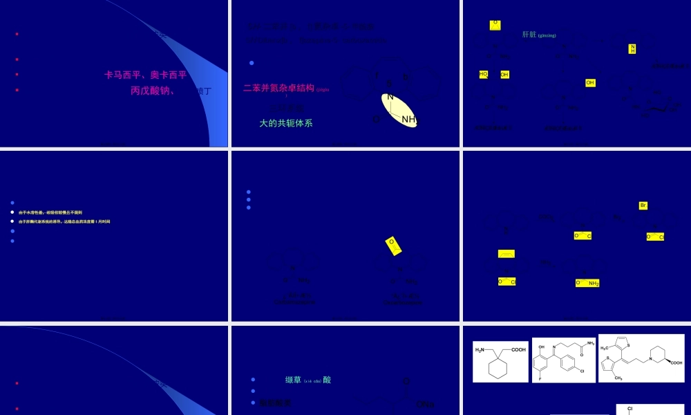 2022年医学专题—抗癫痫药及抗精神病药(1).ppt