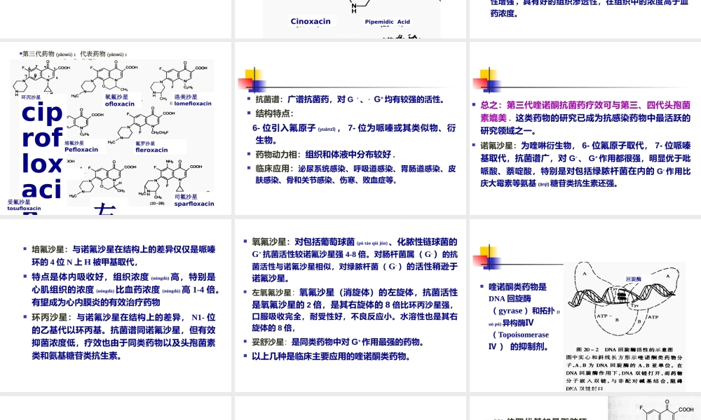 2022年医学专题—抗菌药-喹诺酮类摘要(1).ppt
