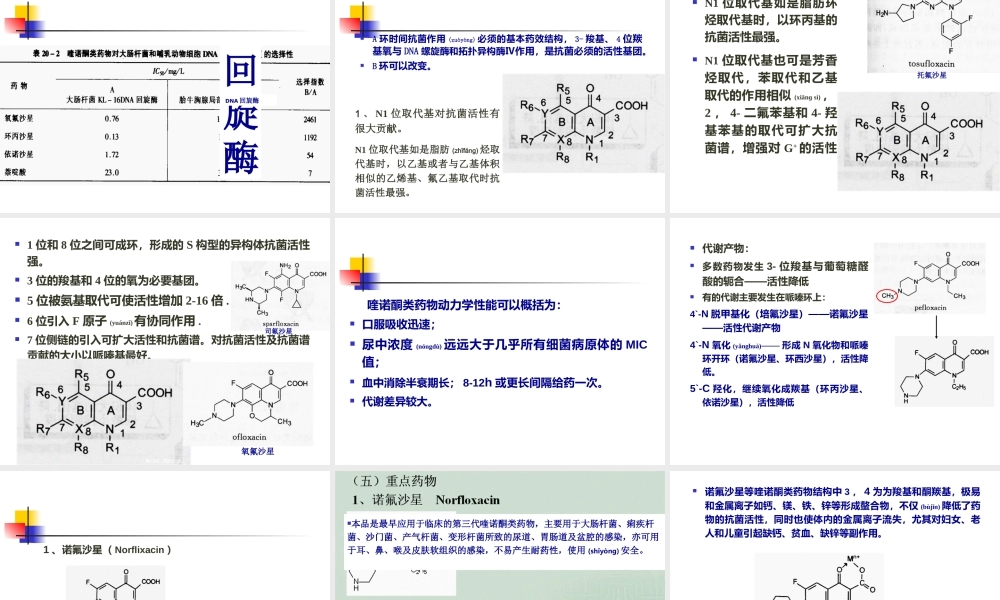 2022年医学专题—抗菌药-喹诺酮类摘要(1).ppt