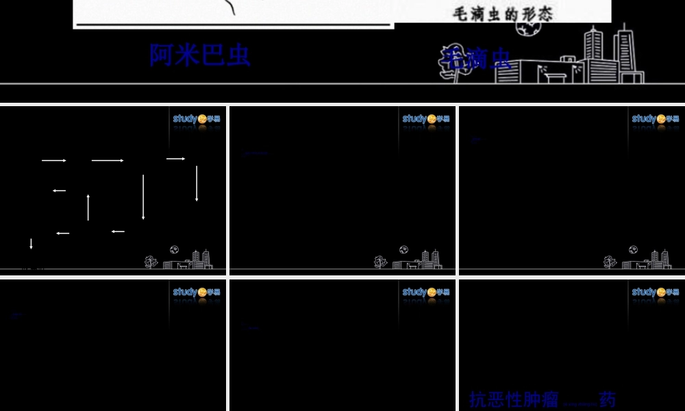 2022年医学专题—抗阿米巴病药和抗滴虫病药(1).ppt