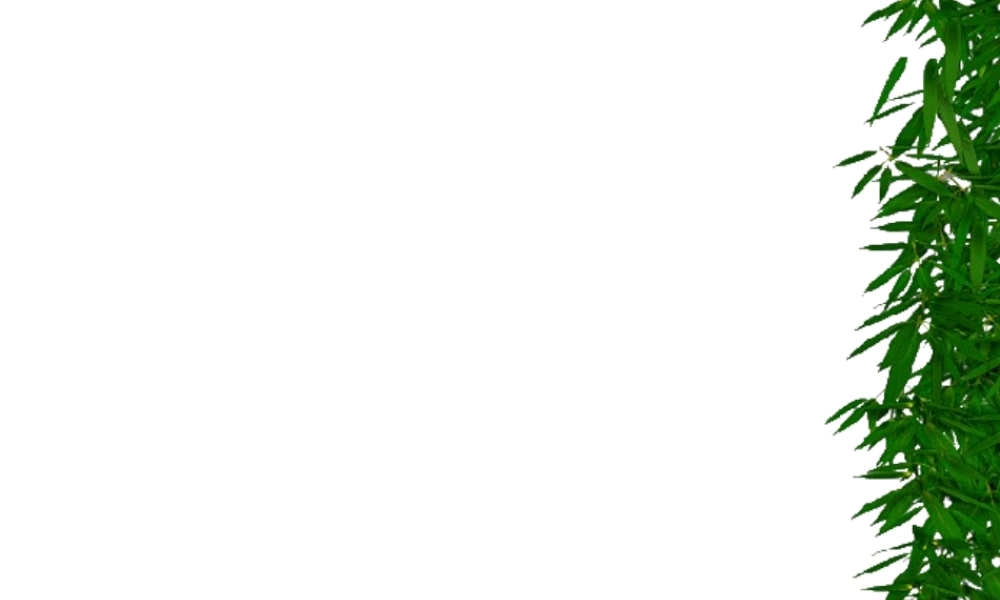 2022年医学专题—放射性核素的探测..(1).ppt