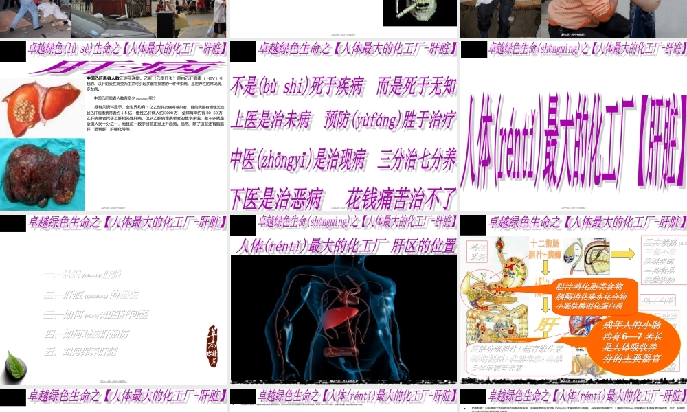 2022年医学专题—春季养肝蔡皇基ppt---石狮(1).ppt