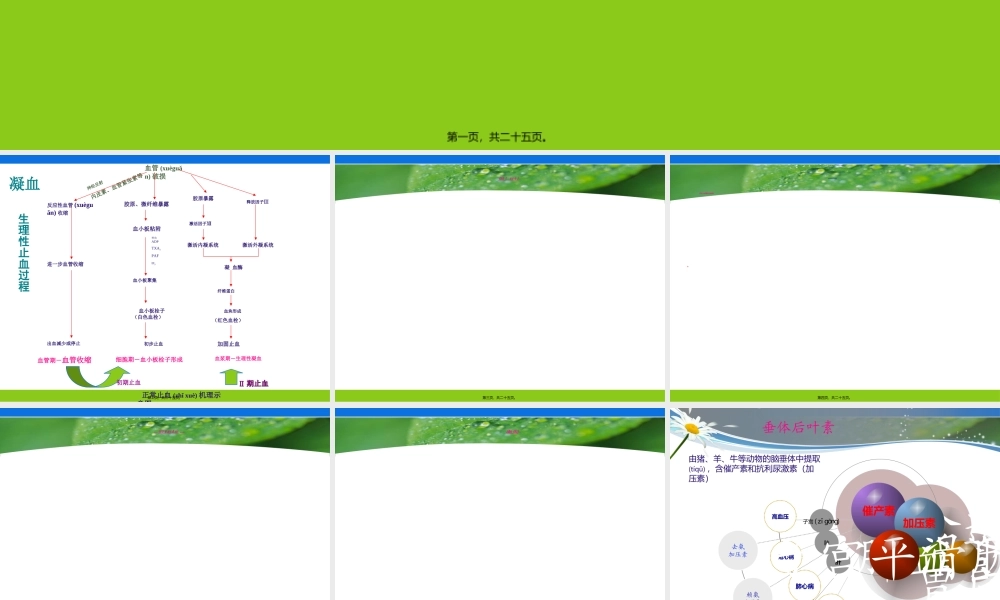 2022年医学专题—止血药(1).ppt