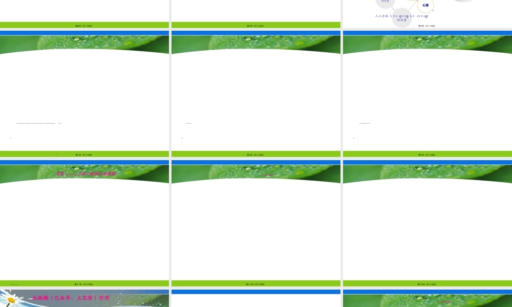 2022年医学专题—止血药(1).ppt