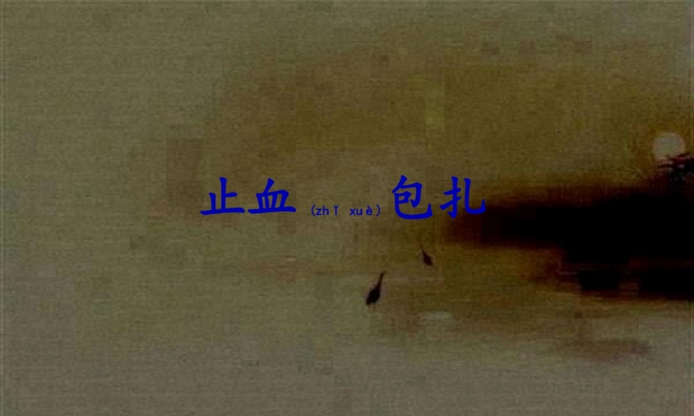 2022年医学专题—止血包扎ppt.(1).pptx