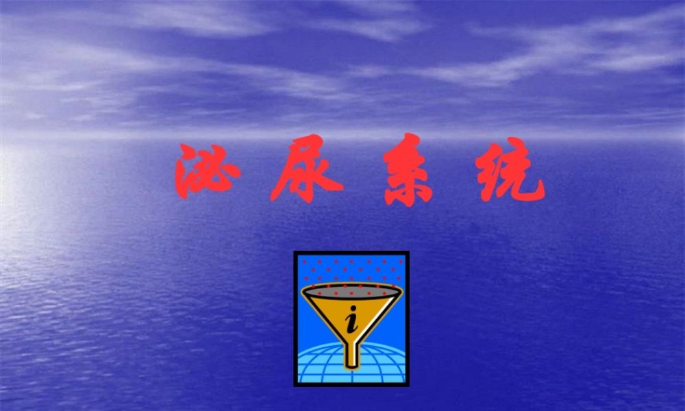 2022年医学专题—泌尿、生殖、腹膜、内分泌系统学资料(1).ppt