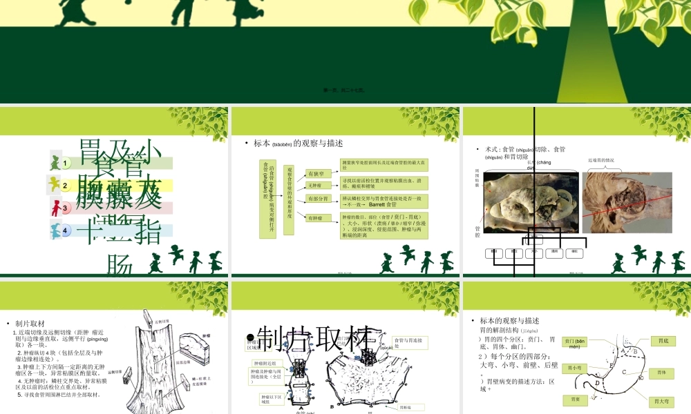 2022年医学专题—消化道取材(1).ppt