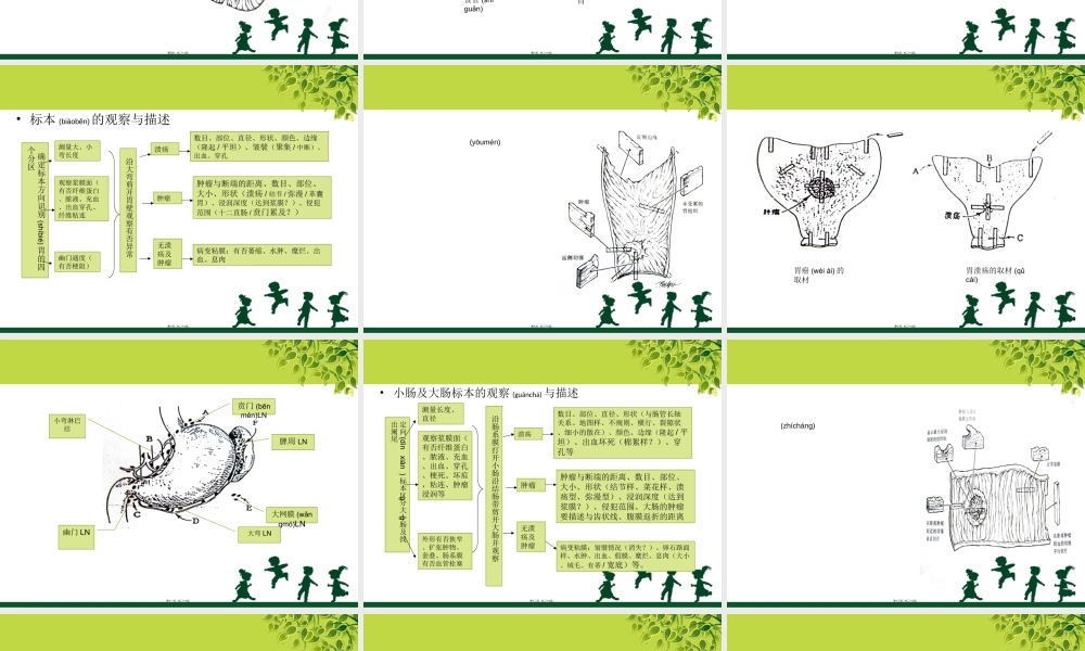 2022年医学专题—消化道取材(1).ppt
