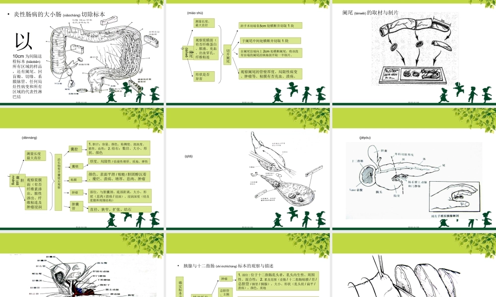 2022年医学专题—消化道取材(1).ppt