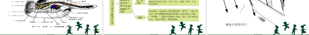 2022年医学专题—消化道取材(1).ppt