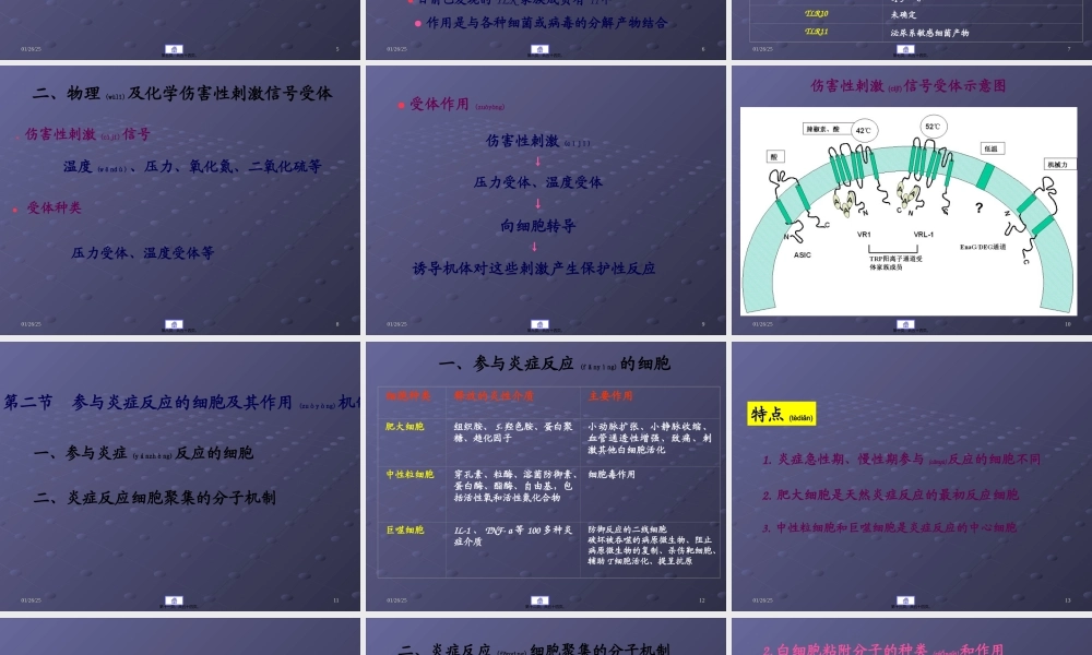 2022年医学专题—炎症的分子机制(1).ppt