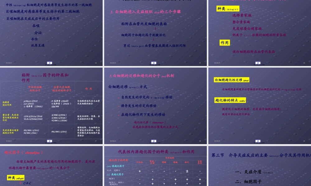 2022年医学专题—炎症的分子机制(1).ppt