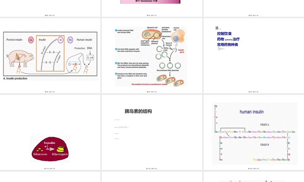 2022年医学专题—第32讲-胰岛素口服降糖药(1).ppt