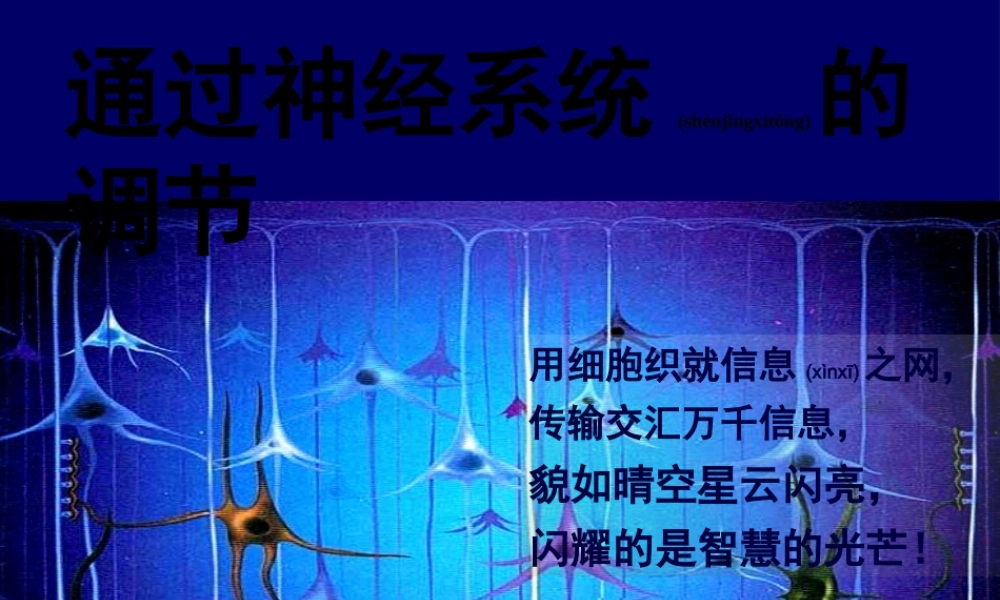 2022年医学专题—第一节通过神经系统的调节(1).ppt