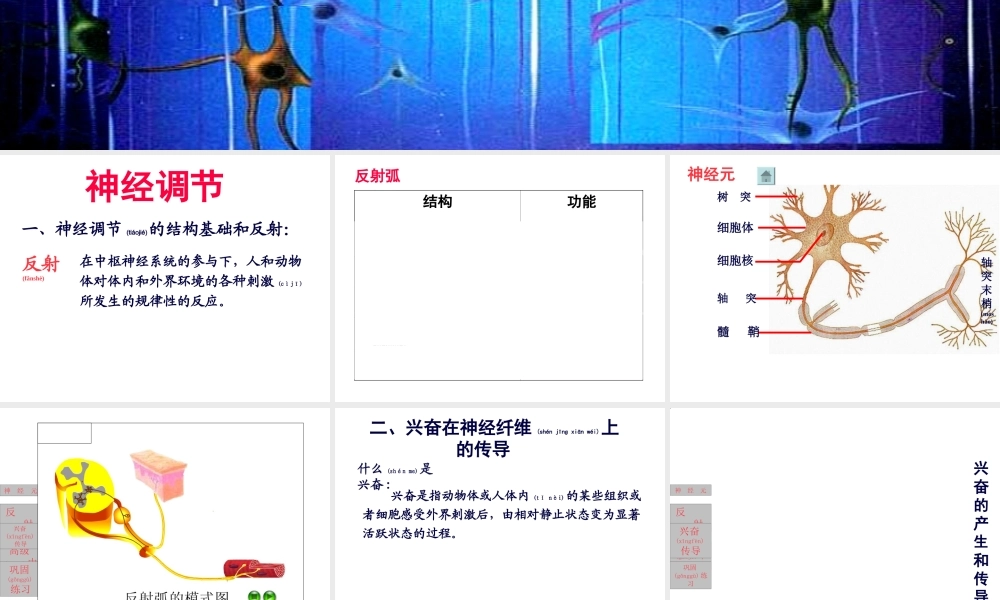 2022年医学专题—第一节通过神经系统的调节(1).ppt