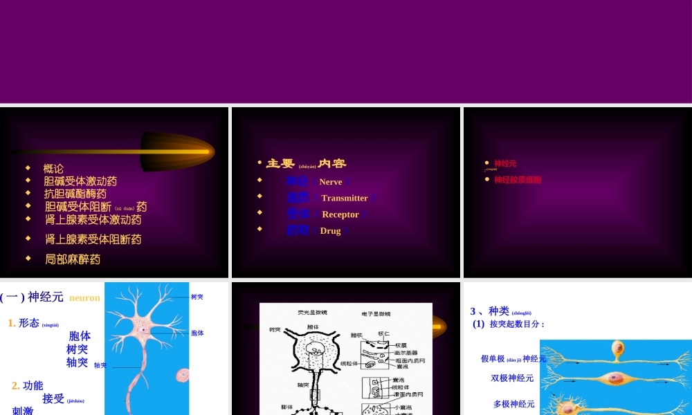 2022年医学专题—第五章传出神经系统药理概论(1).ppt
