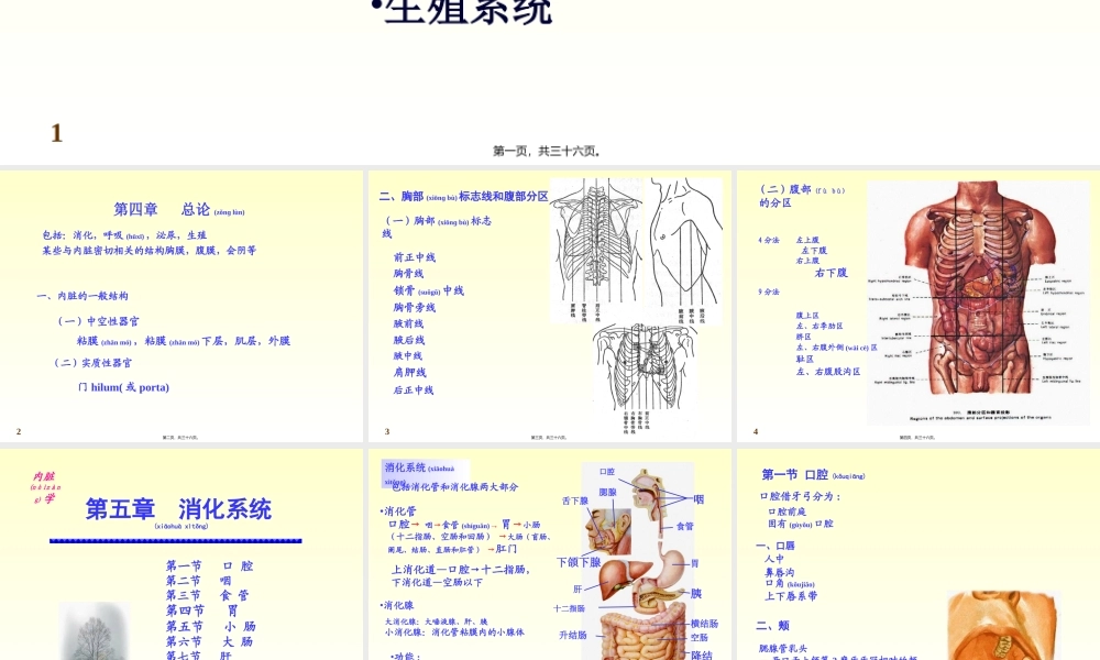 2022年医学专题—第四章-内脏学总论+第五章-消化系统(1).ppt