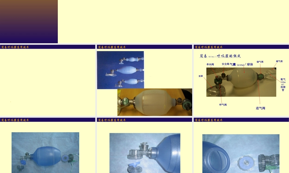 2022年医学专题—简易呼吸皮囊(1).ppt