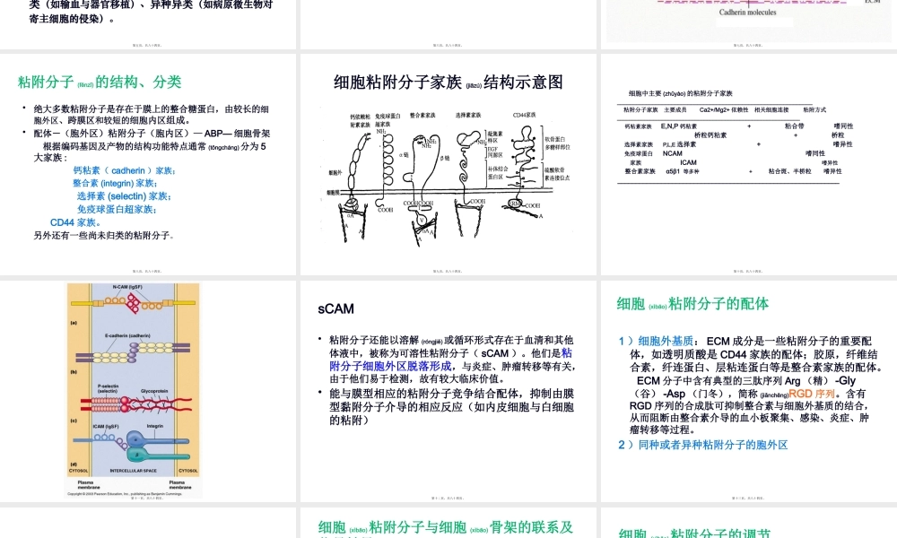 2022年医学专题—细胞信号转导的分子机制(1).pptx