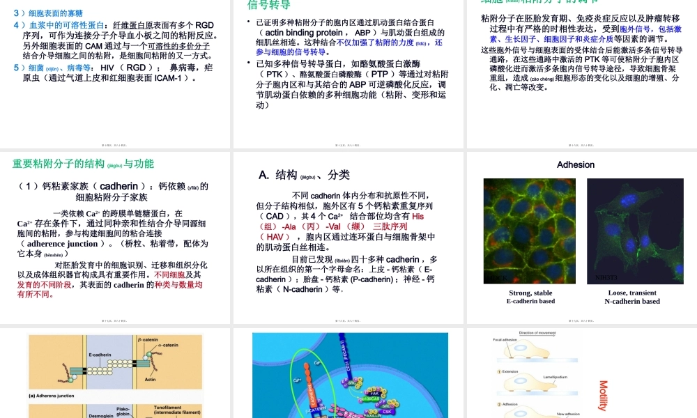 2022年医学专题—细胞信号转导的分子机制(1).pptx