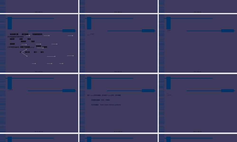 2022年医学专题—肝功能指标解读(1).ppt