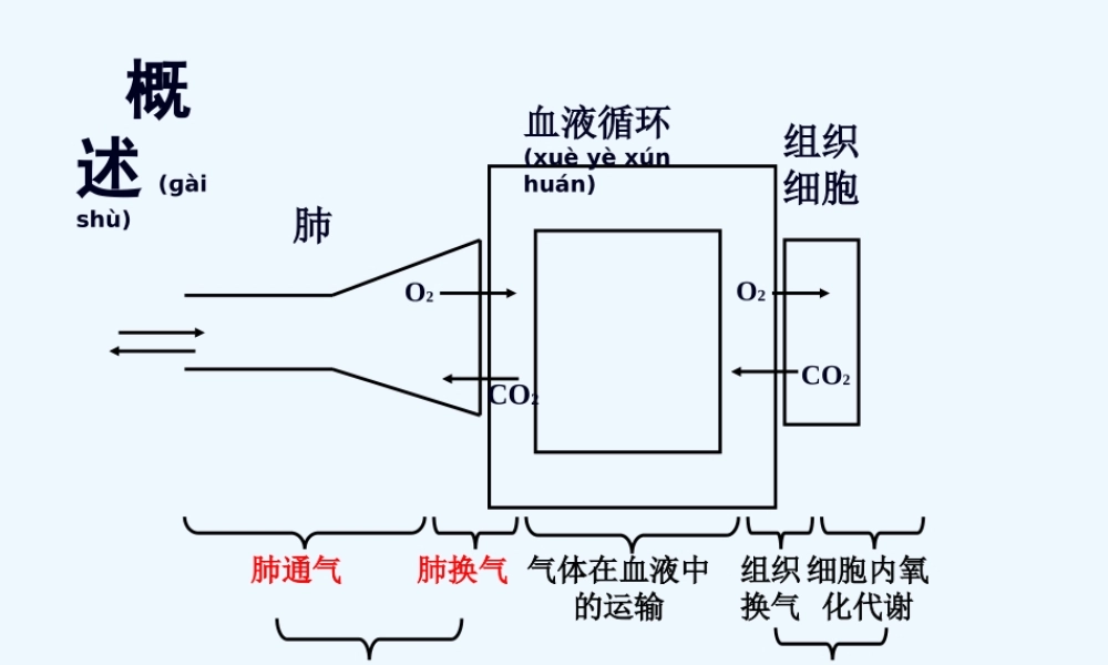 2022年医学专题—肺功能不全(1).pptx