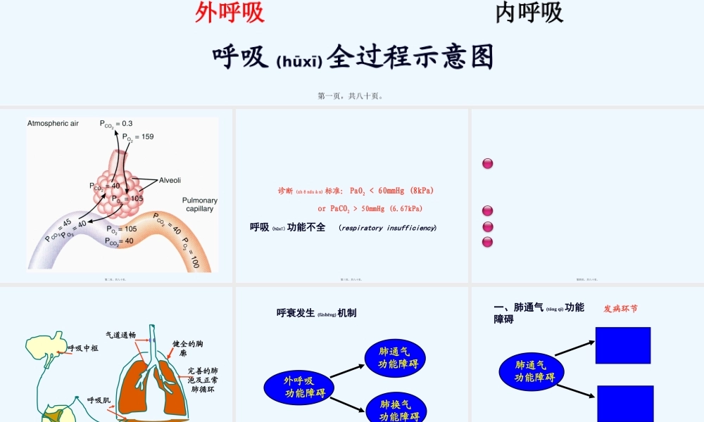 2022年医学专题—肺功能不全(1).pptx