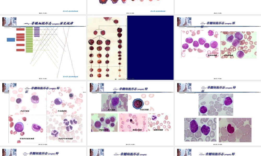 2022年医学专题—第二章-造血细胞检验(1).ppt
