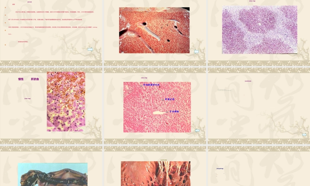 2022年医学专题—血液循环障碍-PPT文档(1).ppt