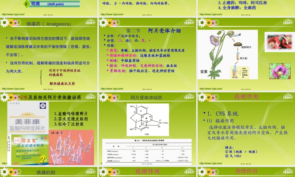 【若风制作】2014--19-中枢镇痛药解读.pptx
