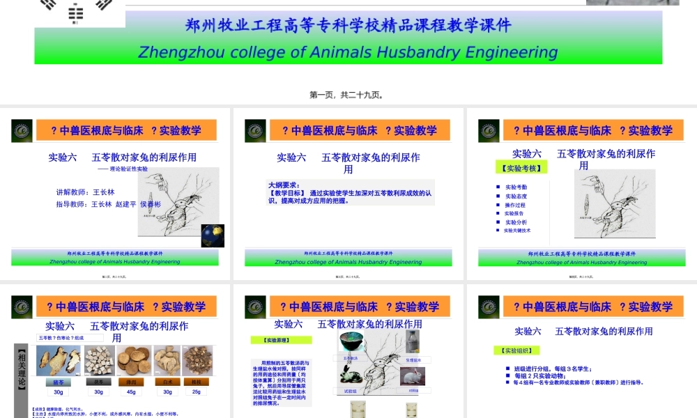 五苓散对家兔的利尿作用..pptx