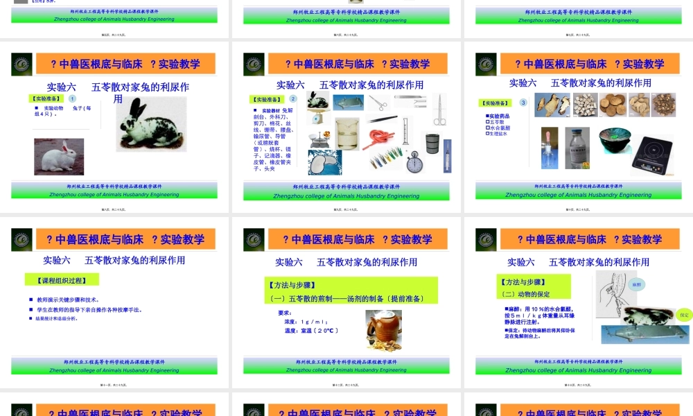 五苓散对家兔的利尿作用..pptx