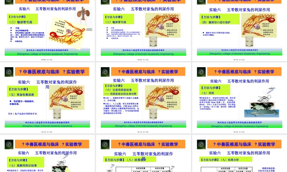 五苓散对家兔的利尿作用..pptx