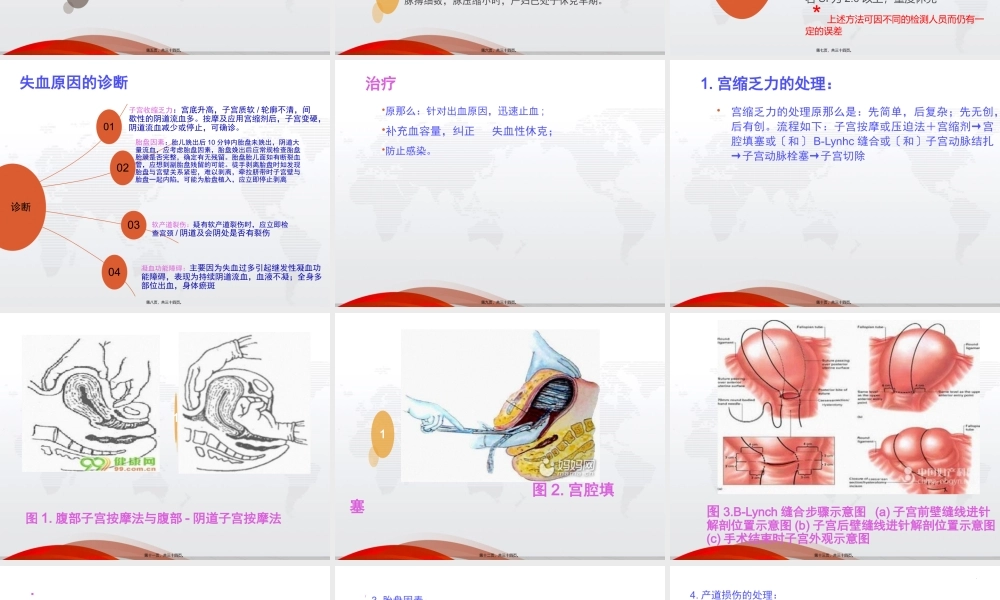 产后出血.ppt.pptx