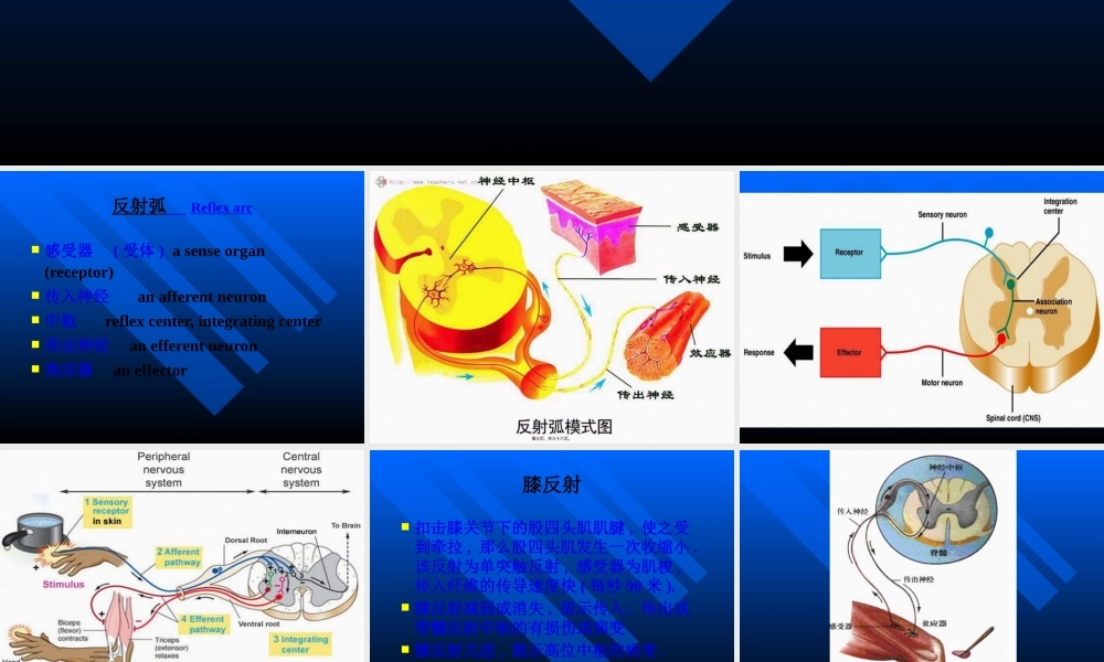 人体生理功能的调节.pptx