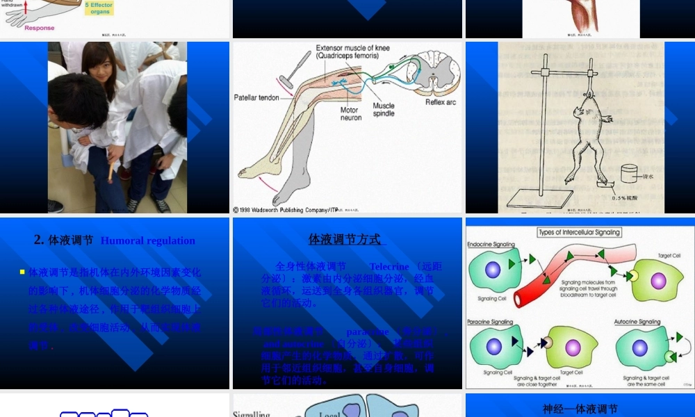人体生理功能的调节.pptx