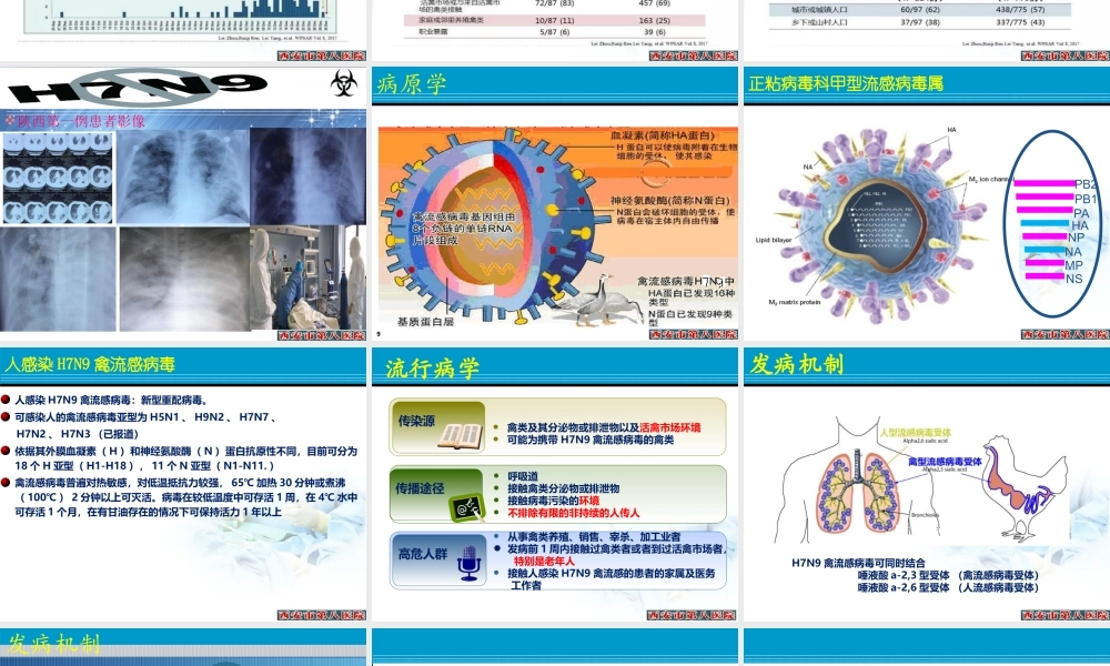 人感染H7N9禽流感2017版(李燕平).ppt