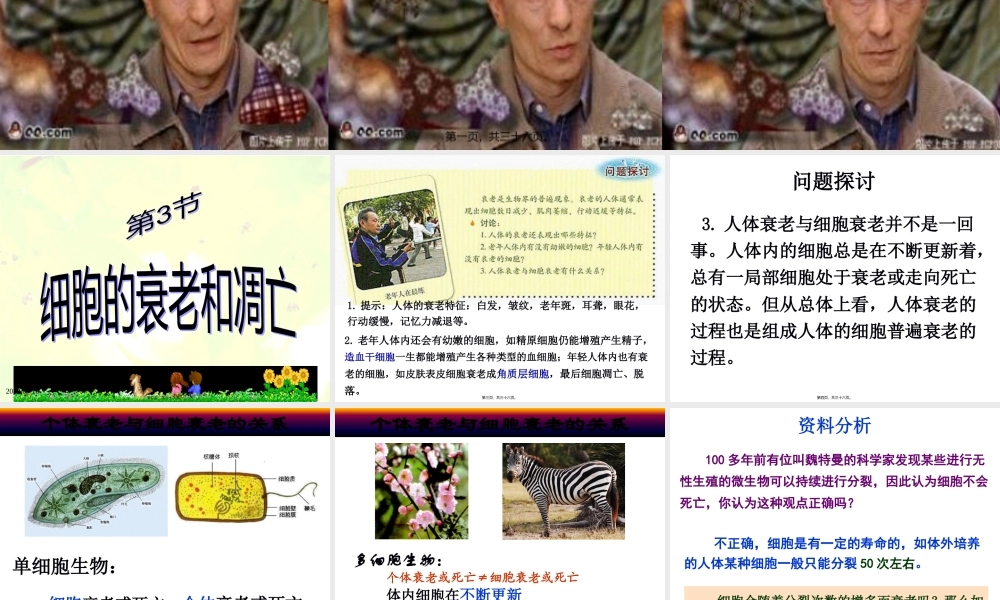 人教版必修一第六章第三节细胞的衰老和凋亡(共32张PPT).pptx