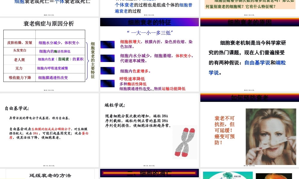 人教版必修一第六章第三节细胞的衰老和凋亡(共32张PPT).pptx