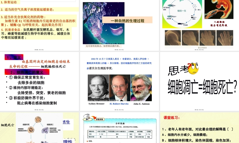 人教版必修一第六章第三节细胞的衰老和凋亡(共32张PPT).pptx