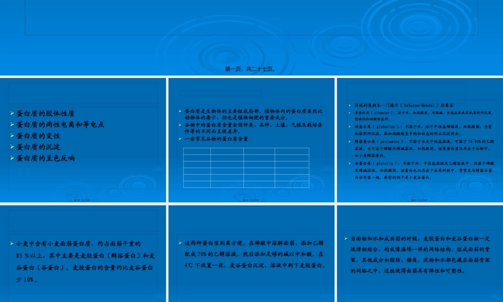 介绍谷物蛋白质.pptx