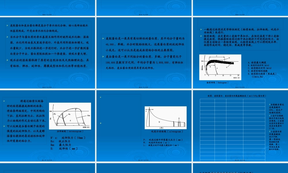 介绍谷物蛋白质.pptx