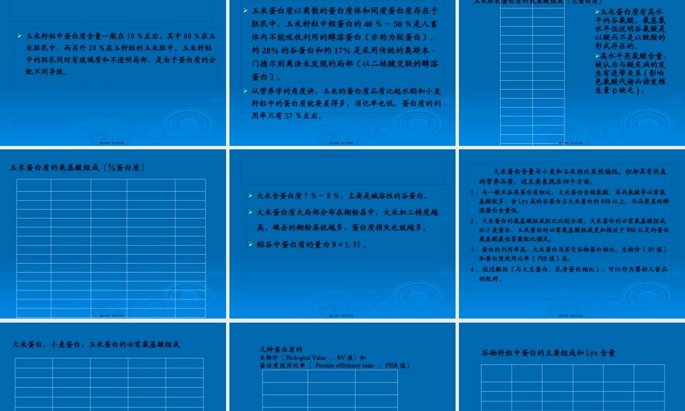 介绍谷物蛋白质.pptx