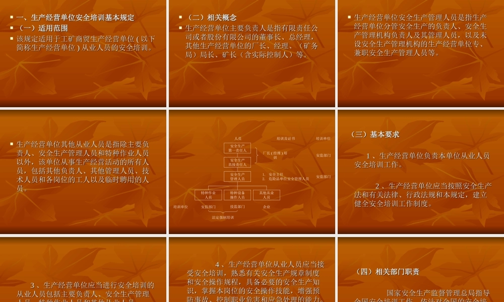 生产经营单位安全培训规定.ppt