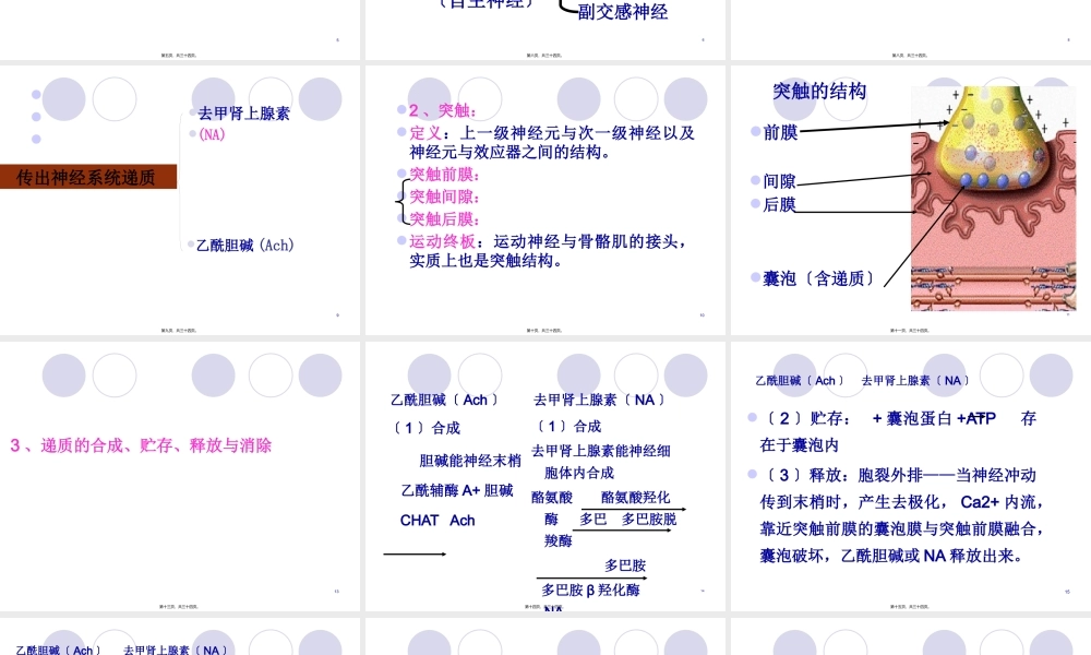 传出神经系统药讲义.pptx